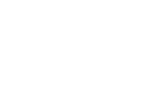 Boen Logo - Link back to home page